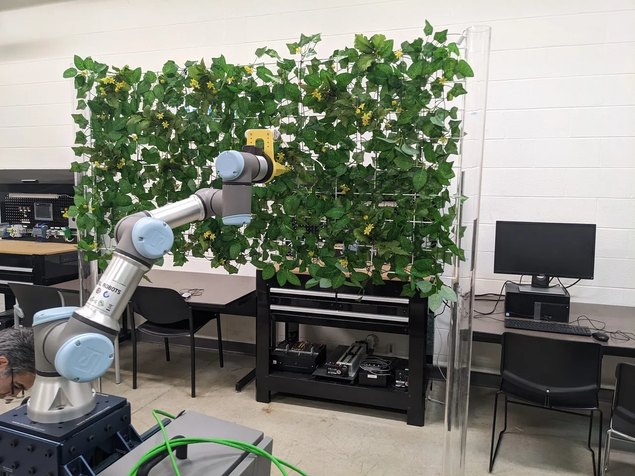 The robot arm facing the flower wall in the lab, with its yellow tool mount attached